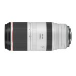 Canon RF 100-500mm f / 4.5-7.1L IS USM